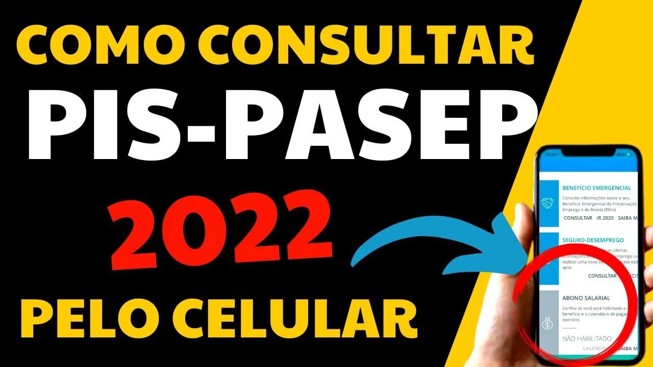 PIS DOBRADO: Trabalhador pode receber Pis em dobro em 2022